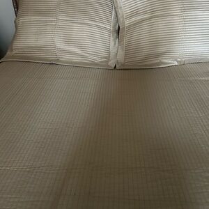 Elegant Gold Queen Bedding Set